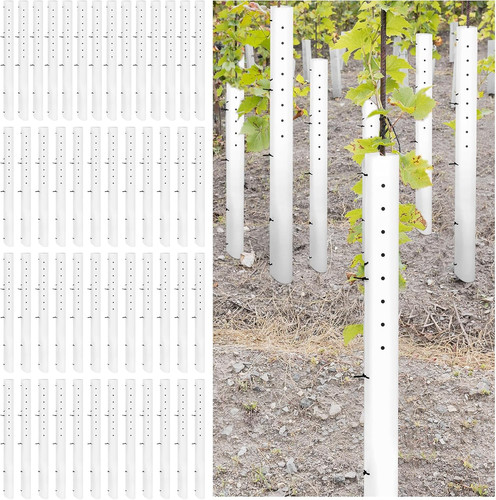 Pack inch tree seedling - 60,