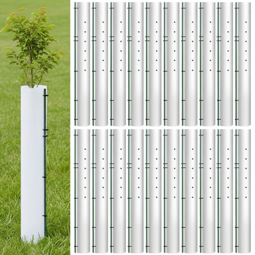 Pack tree seedling sapling - tree,