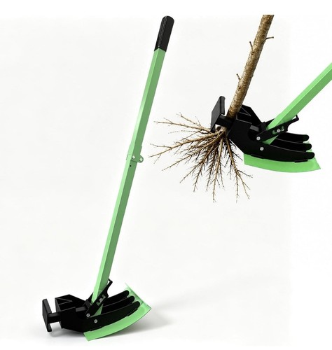 56in heavy duty sapling tree - sapling,